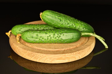 Fresh green cucumbers on a round wooden tray, close-up, isolated on black.