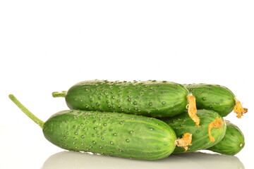 Fresh green cucumbers, close-up, isolated on white.