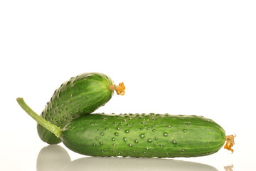 Fresh green cucumbers, close-up, isolated on white.