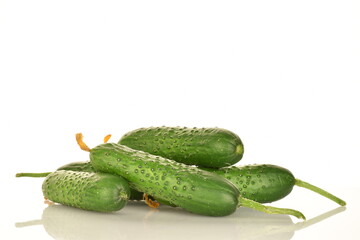 Fresh green cucumbers, close-up, isolated on white.