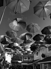 Umbrellas Street