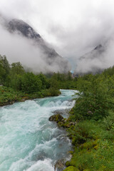 the beauty of the nature