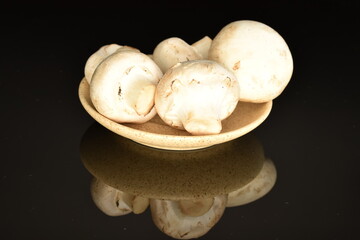 Fresh mushrooms with a saucer, close-up, on a black background.