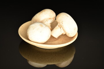 Fresh mushrooms with a saucer, close-up, on a black background.