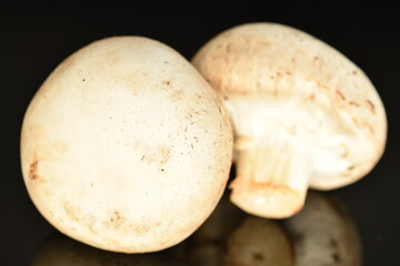 Fresh mushrooms, close-up, on a black background.