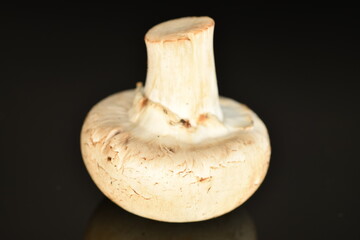 Fresh mushrooms, close-up, on a black background.