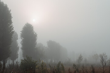 Obraz na płótnie Canvas cloudy weather, foggy morning