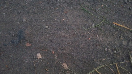 scattered sand mixed with small gravel and soil