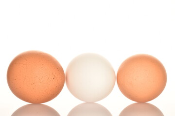 Several chicken eggs, close-up, isolated on white.