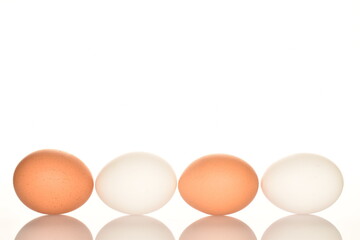 Several chicken eggs, close-up, isolated on white.