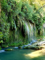 Naklejka premium stream in the forest