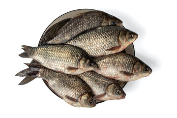 Fresh crucian on a brown plate isolated on white. Freshwater fish.