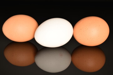 Several chicken eggs, close-up, isolated on a black background.