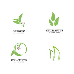Set Eucalyptus leaves logo vector