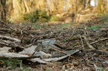bad ecology.