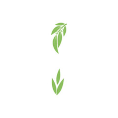 Eucalyptus leaves logo vector template