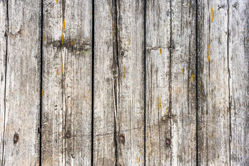 A wooden bench in front of a wood fence