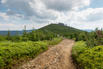 Fototapeta na wymiar Skrzyczne, Poland, July 04, 2020: Hiking along a mountain trail in the Silesian Beskids near the Skrzyczne peak