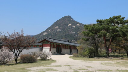 traditional japanese house