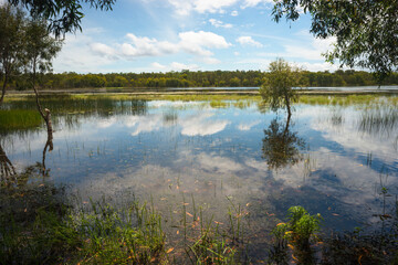 Flooded wetlands in Northern Territory. Australia.