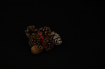Decorative arrangement of pine cones and holly berries, fall palette, in a black background