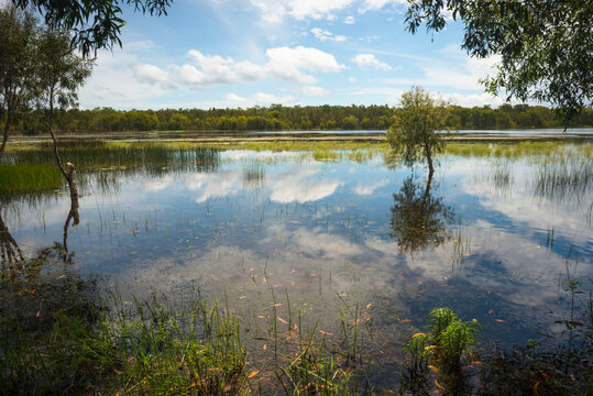 Flooded wetlands in Northern Territory. Australia. 