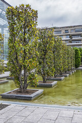 Picturesque Paris Parc Andre Citroen - Public Park located on left bank of river Seine. Paris, France.