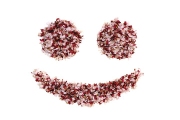 positive smiley emoticon made of dried rose petals on a white background