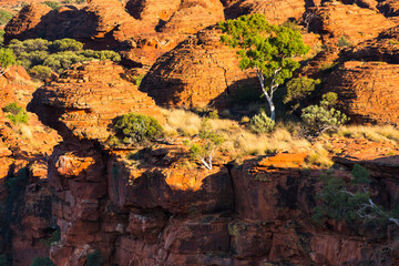 Watarrka (Kings Canyon) in Central Australia.