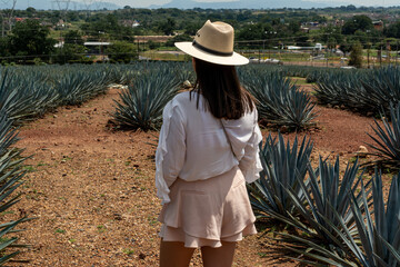 La joven está conociendo el campo de agave.