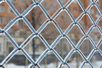 Fototapeta premium the mesh fence is frozen