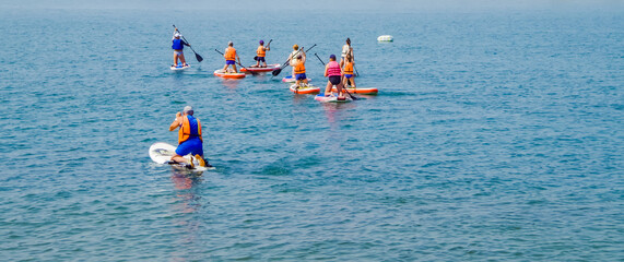 group of surfers on boards for sap surfing with oars have fun together, concept of active lifestyle