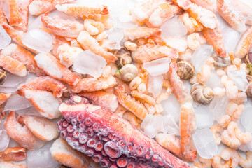 assortment of seafood on ice