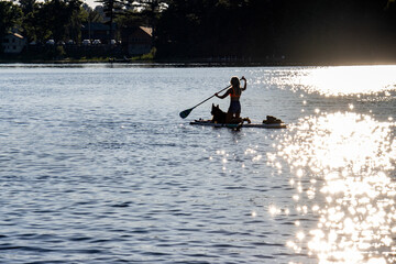 Naklejka premium paddle boarding on lake with dog