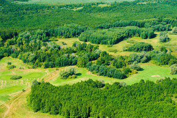 Obraz premium Aerial view of forest during