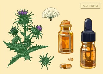 Medical Milk Thistle branch and vials, hand drawn illustration in a retro style