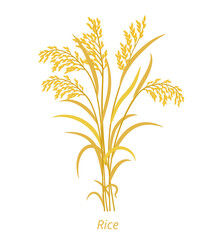 Rice plant. Bunch of orange ripe and dry grass. Oryza glaberrima. Oryza sativa. Agronomy cereal grain. Vector agricultural illustration.