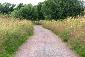 Vertical composition of pathway with green grass and fresh flowers in gothenburg sweden