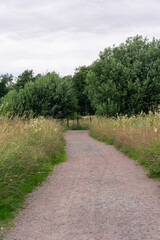 Vertical composition of pathway with green grass and fresh flowers in gothenburg sweden