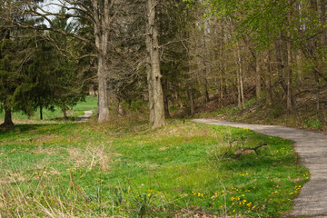 Winding path through a nature park