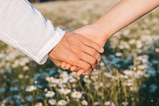Close up of couple holding hands against the background of a chamomile field.