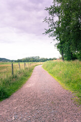 Vertical composition of pathway with green grass and fresh flowers in gothenburg sweden