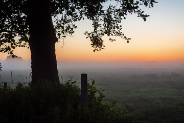 Łąki w porannym świetle z delikatną mgłą, Podlasie, Polska