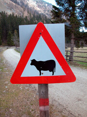 attention cattle, animals crossing road sign