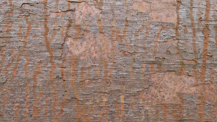 rusty metal background texture or wallpaper
