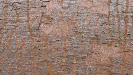 rostige Metallhintergrundbeschaffenheit oder -tapete © jacek