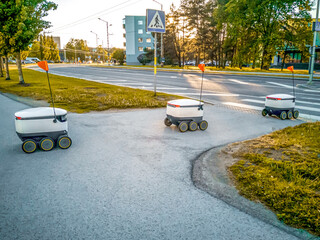 Estonian Delivery robots