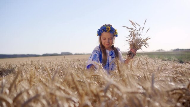 A girl stands on a wheat field and strokes spikelets with her hand. Big crop of bread. National clothes with beautiful patterns.