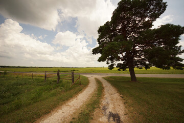 road in the field
