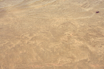 A texture of a wet sand on the beach as a natural background.